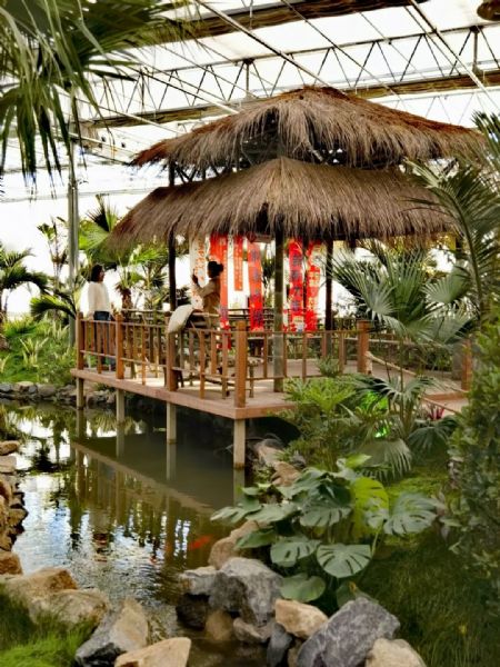 內蒙古通遼和佑首屆農業嘉年華